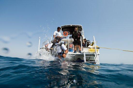Desert Sea Divers