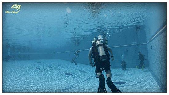 Orca Divers SA