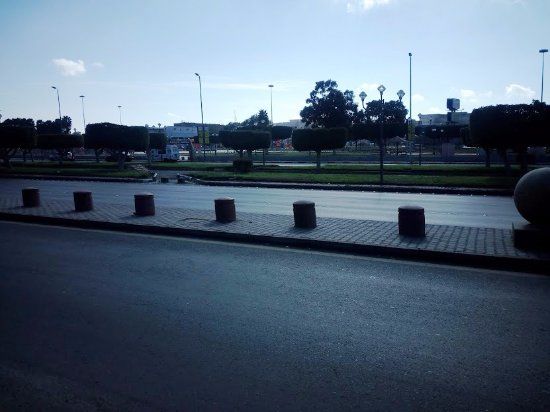 حديقة العنود